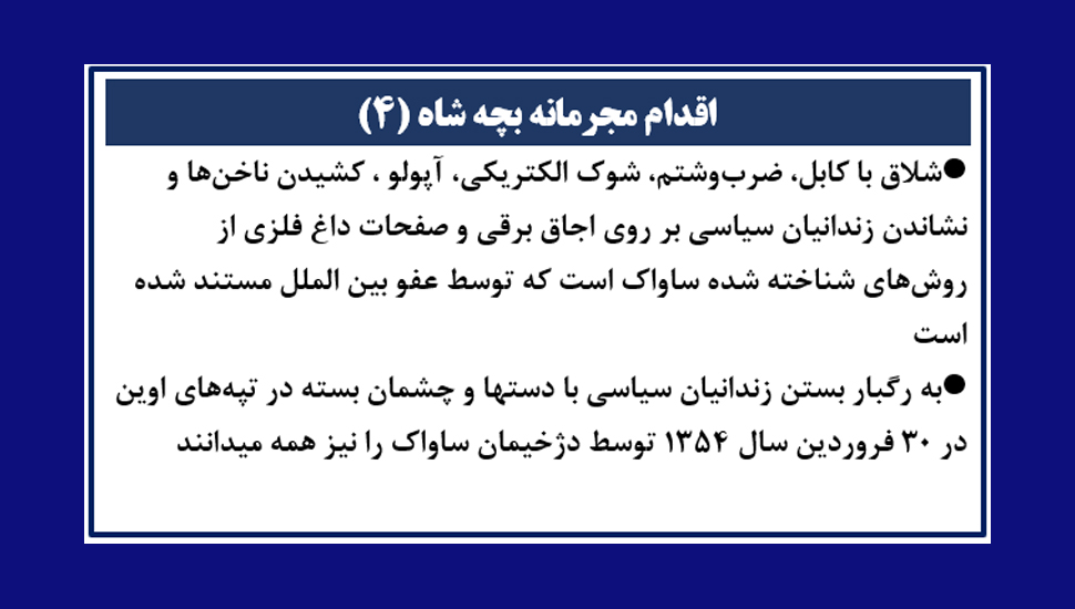 اقدام مجرمانه بچه شاه (۴)
